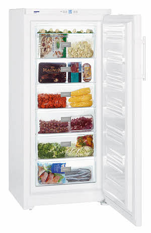 Liebherr GP 3013-20 Gefrierschrank